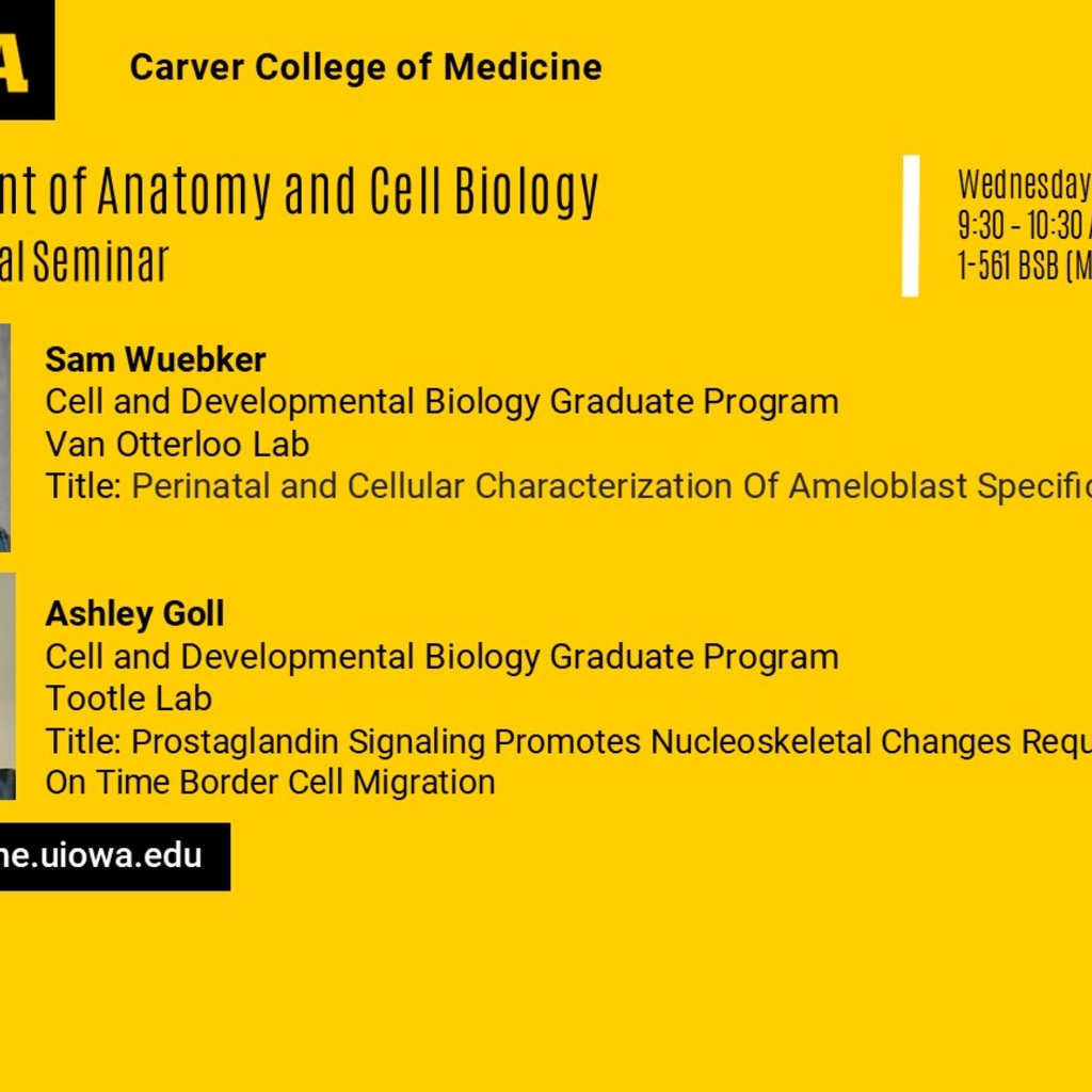 ACB Seminar Series - Sam Wuebker and Ashley Goll  promotional image