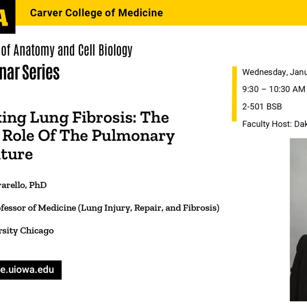 ACB Seminar Series - Dr. Nunzia Caporarello promotional image