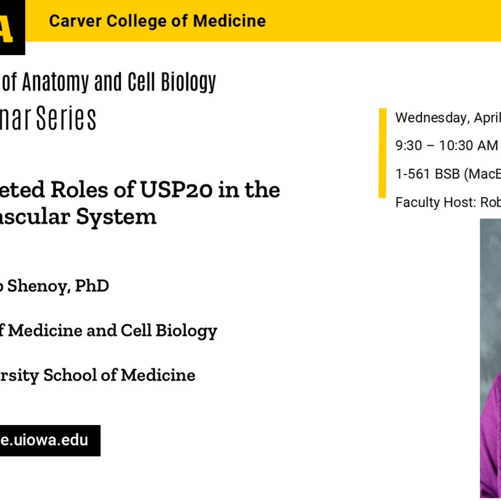 ACB Seminar Series - Sudha Shenoy promotional image