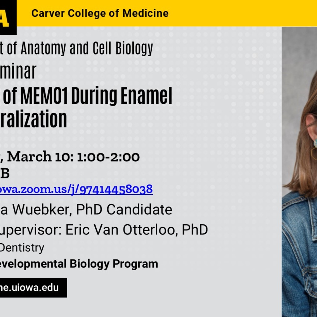 Samantha Wuebker Thesis Defense  promotional image