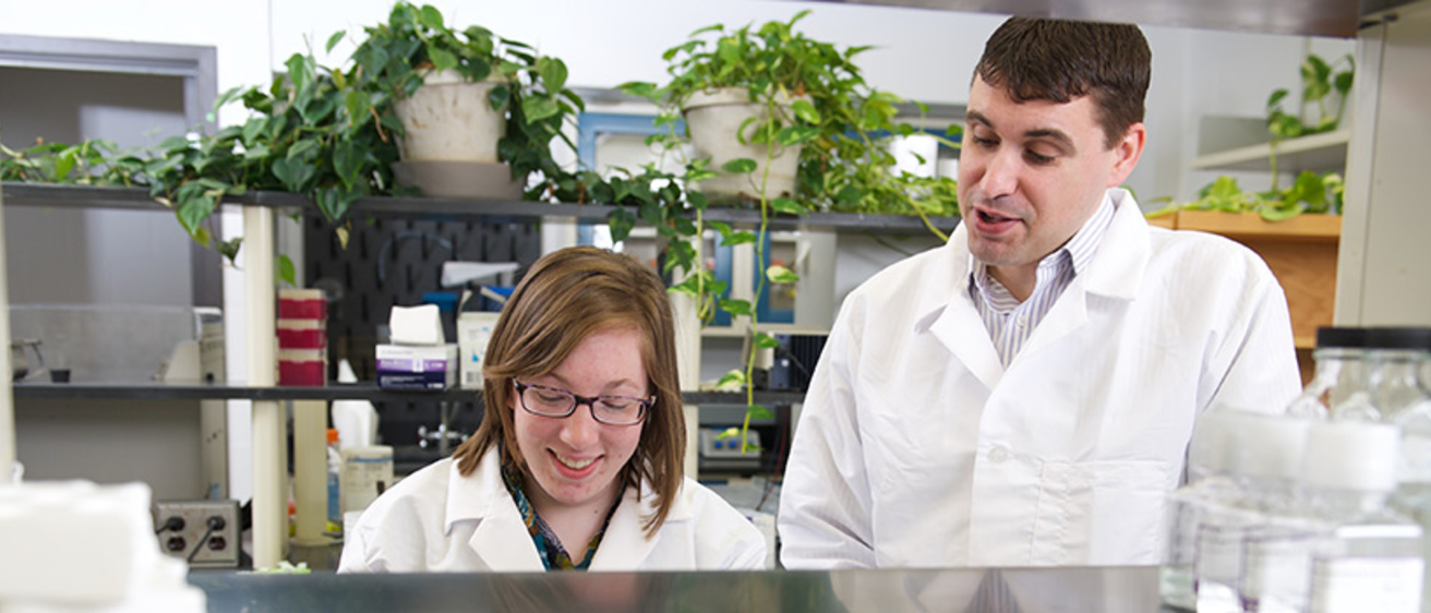 Two researchers in a lab