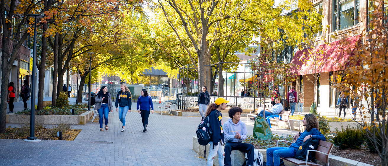 Iowa City Ped Mall