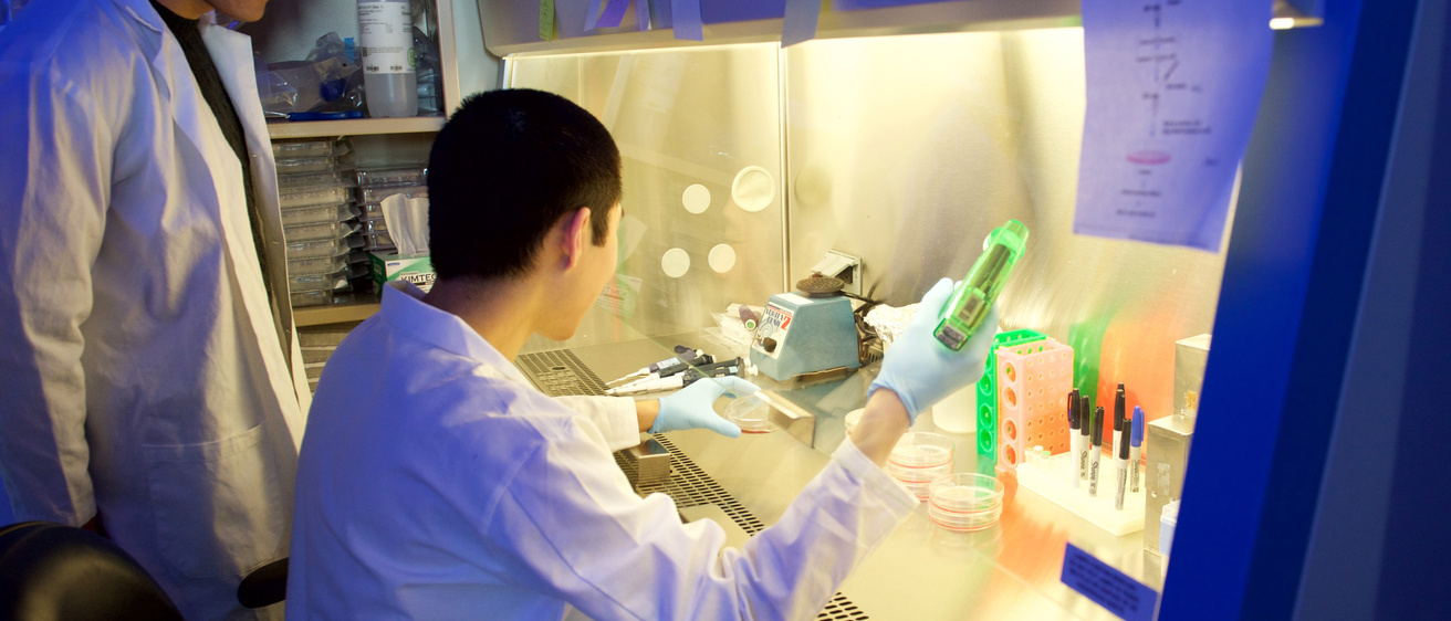 Lab Technicians
