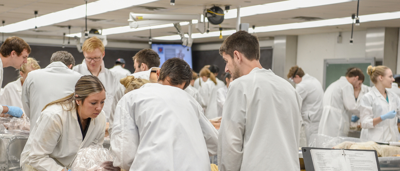 Gross Anatomy Class