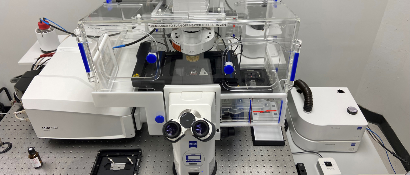 Zeiss 980 Confocal Microscope