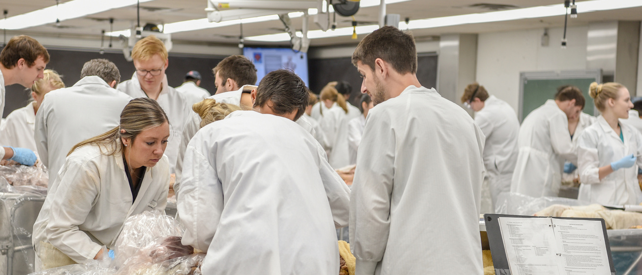 Anatomy Lab