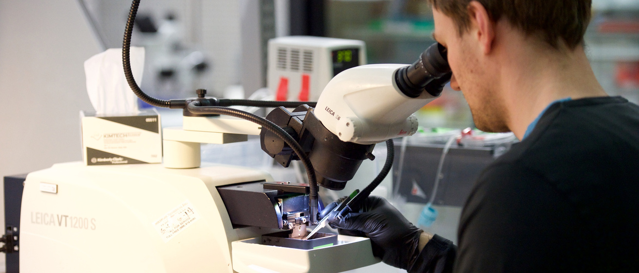 Postdoctoral Scholars