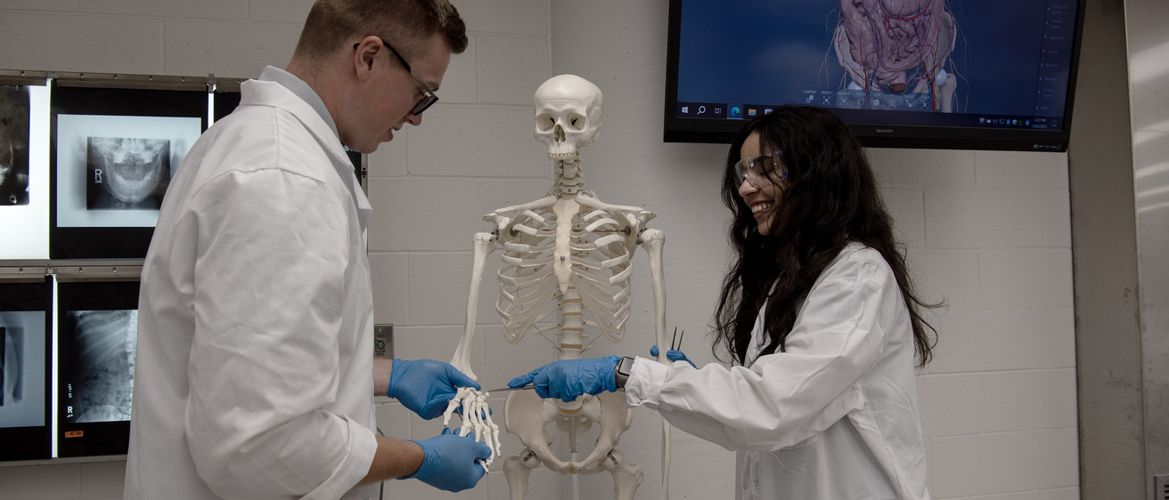 MCA Gross Lab