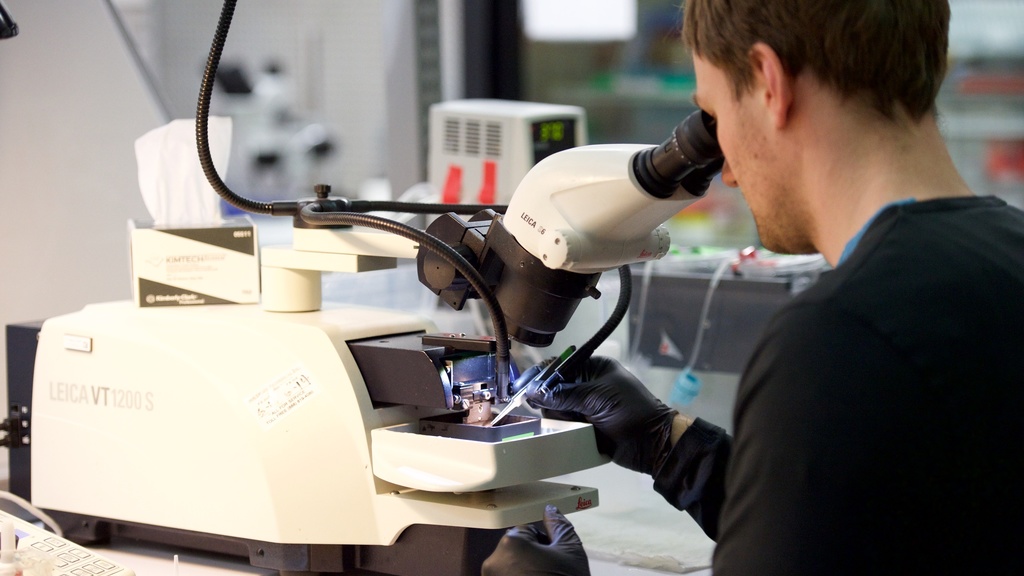 Lab