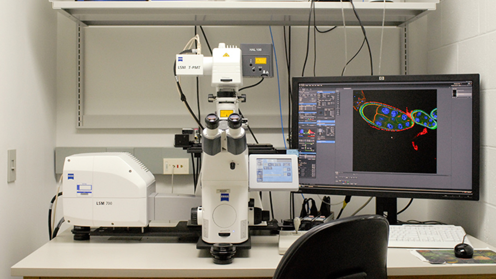 Zeiss 700 Confocal Microscope